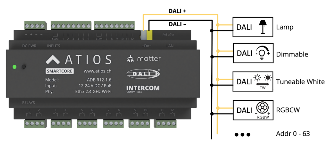 SmartCore DALI bus connection wiring diagram